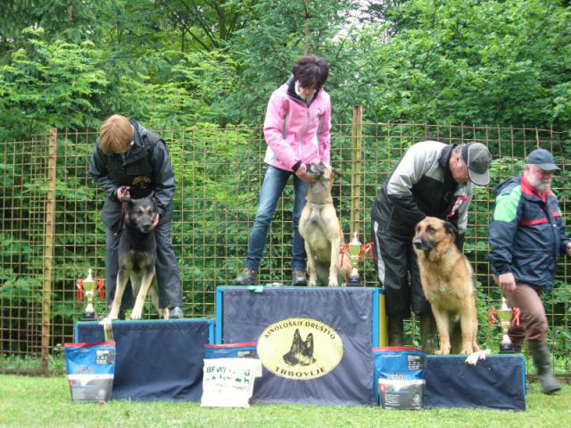 Turnir šolanih psov, 28.05.2011 (galerija 2) - foto