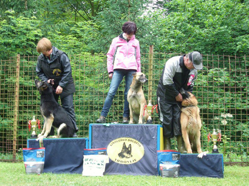 Turnir šolanih psov, 28.05.2011 (galerija 2) - foto povečava