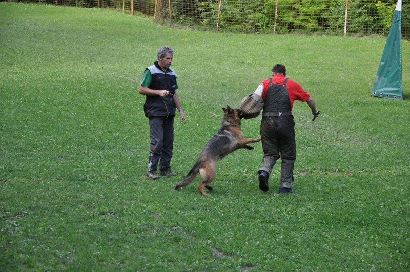 Izpiti, 10.06.2011 - foto povečava