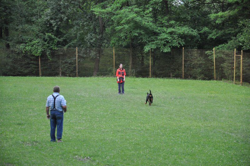 Izpiti, 10.06.2011 - foto povečava