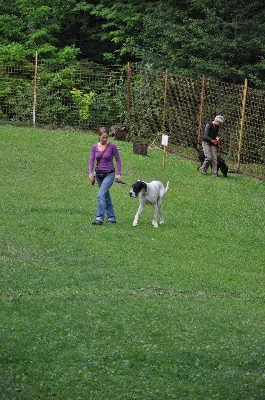 Izpiti, 10.06.2011 - foto povečava