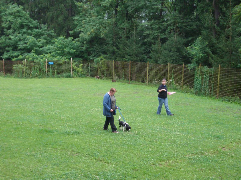 Mala šola, 30.07.2011 - preverjanje znanja - foto povečava