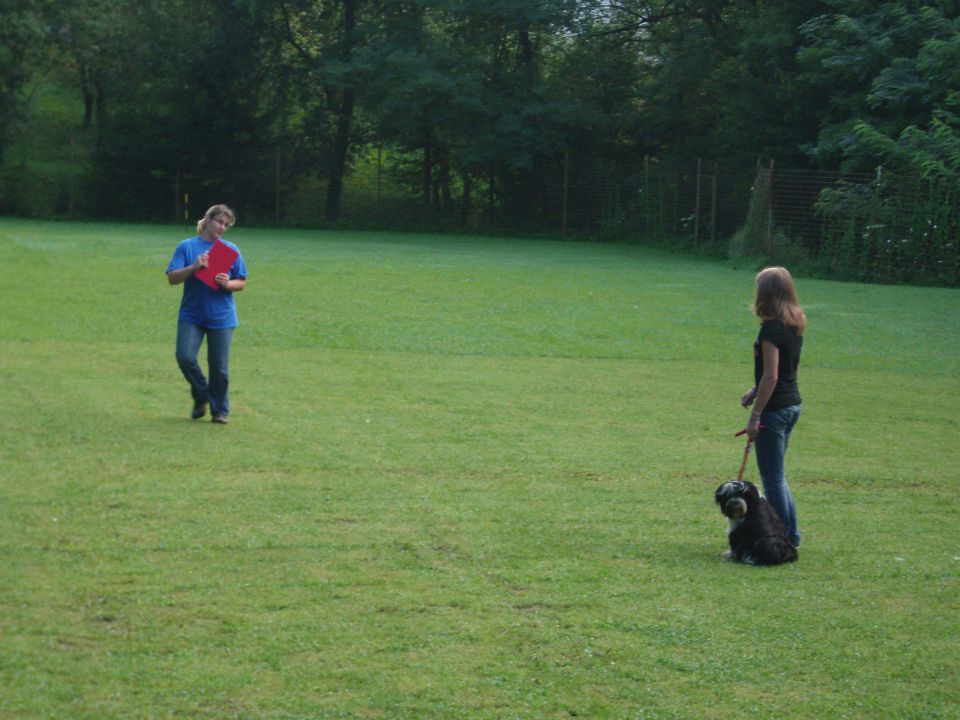 Mala šola - poletje, 13.08.2011 - foto povečava