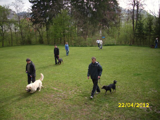 Mala Šola pomlad 2012 - foto