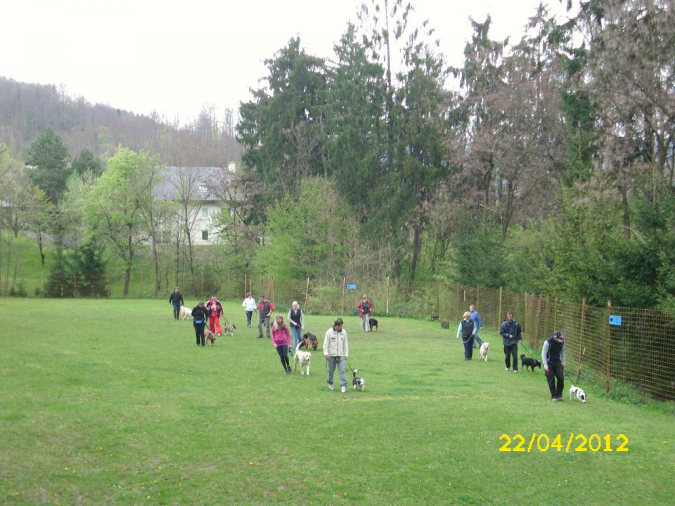 Mala Šola pomlad 2012 - foto povečava