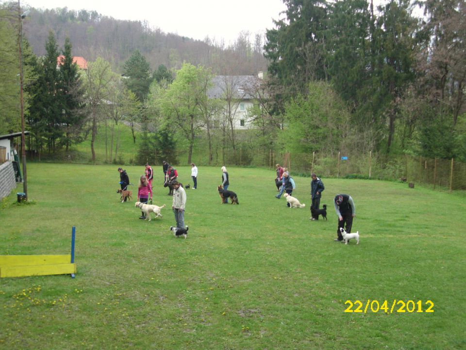 Mala Šola pomlad 2012 - foto povečava