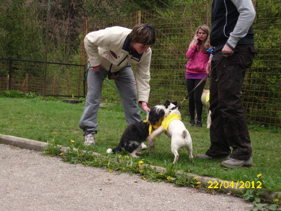 Mala Šola pomlad 2012 - foto povečava