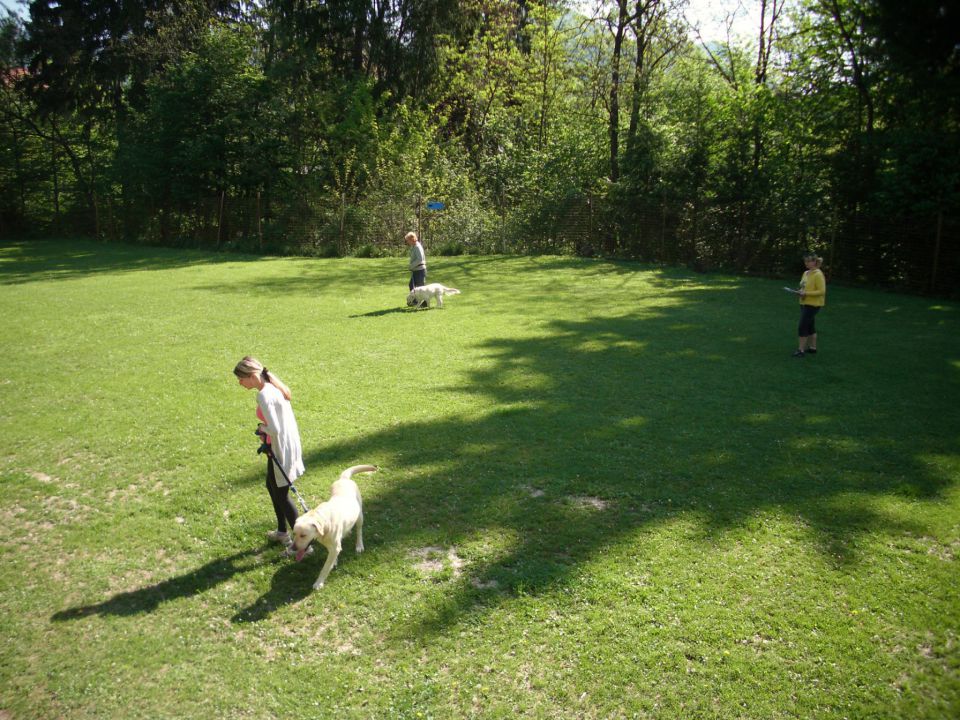 Mala šola, 05.05.2012 zaključek - foto povečava