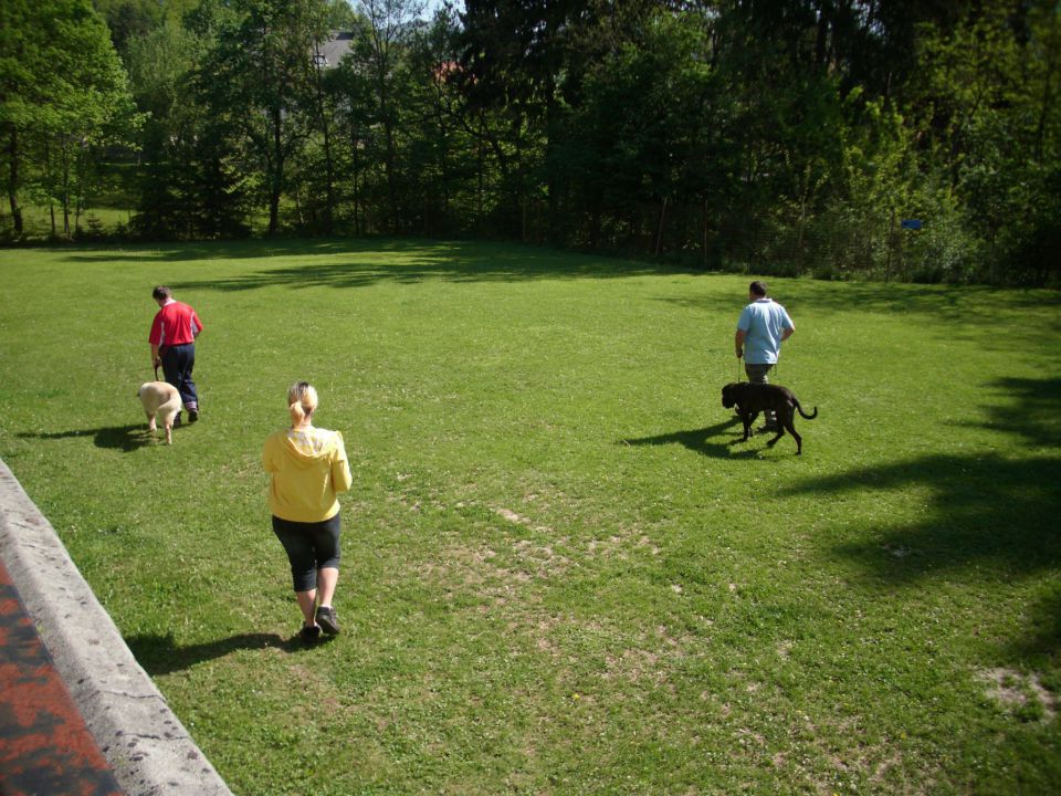 Mala šola, 05.05.2012 zaključek - foto povečava