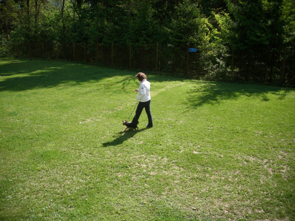 Mala šola, 05.05.2012 zaključek - foto povečava