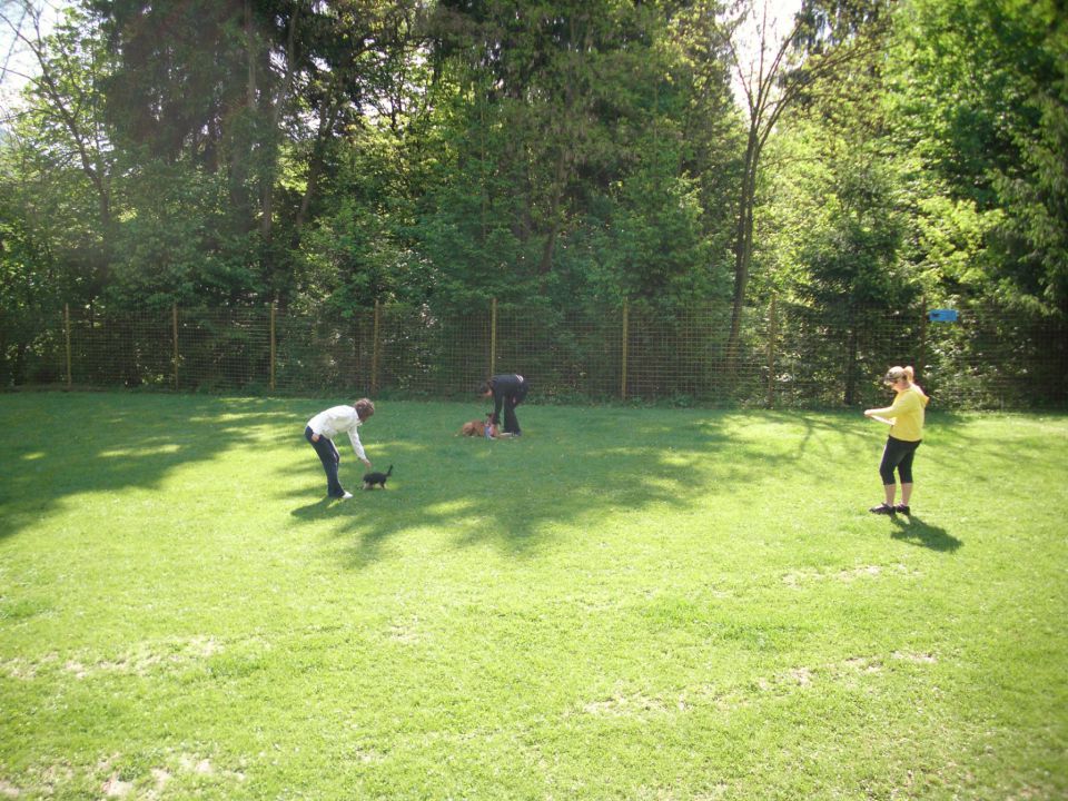 Mala šola, 05.05.2012 zaključek - foto povečava