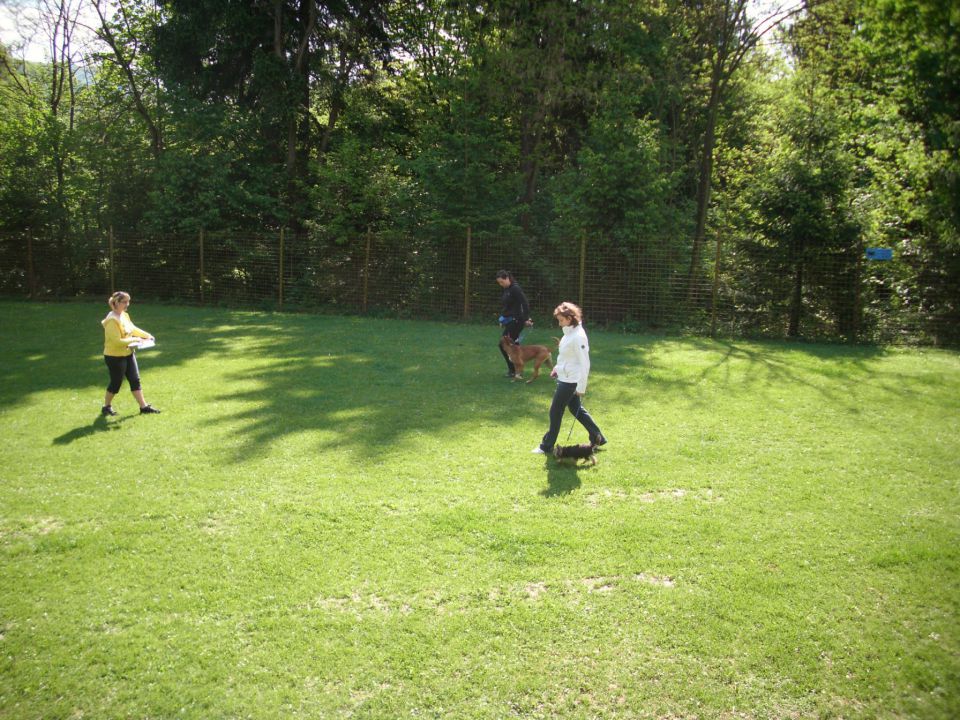 Mala šola, 05.05.2012 zaključek - foto povečava