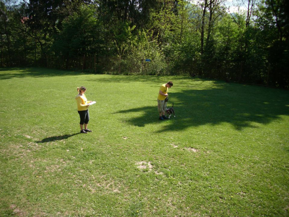 Mala šola, 05.05.2012 zaključek - foto povečava