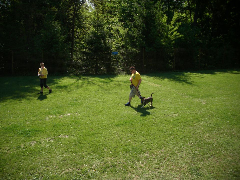 Mala šola, 05.05.2012 zaključek - foto povečava