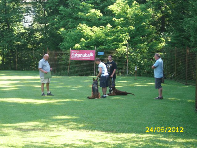 Izpiti šolanih psov, 24.06.2012 (galerija 1) - foto