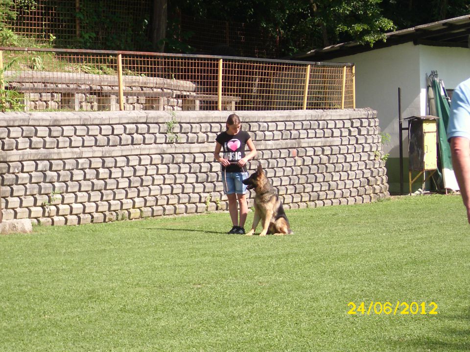 Izpiti šolanih psov, 24.06.2012 (galerija 1) - foto povečava