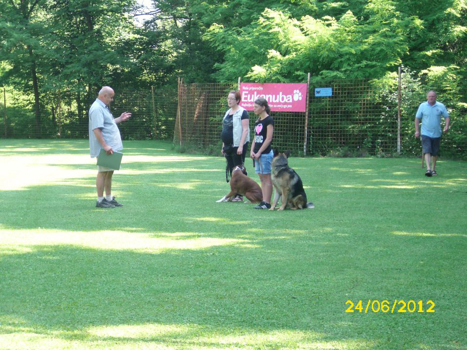 Izpiti šolanih psov, 24.06.2012 (galerija 1) - foto povečava