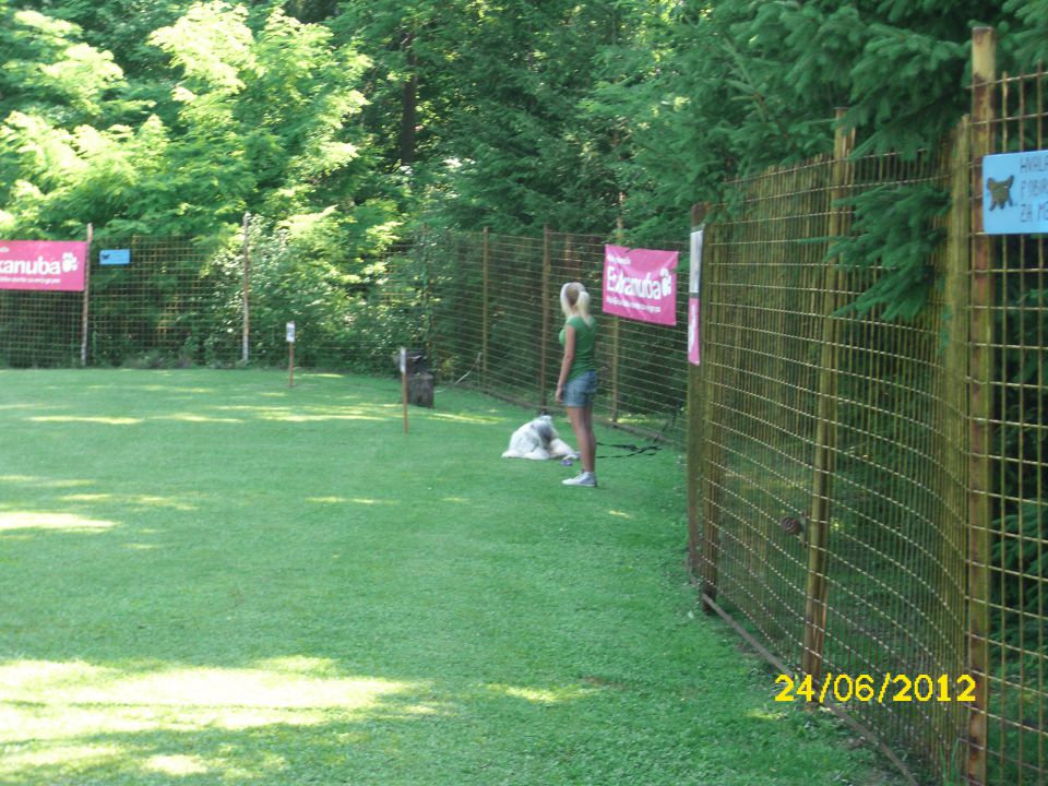 Izpiti šolanih psov, 24.06.2012 (galerija 2) - foto povečava