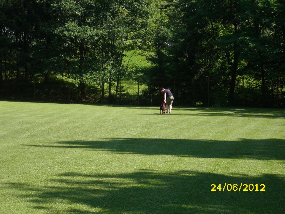 Izpiti šolanih psov, 24.06.2012 (galerija 2) - foto povečava