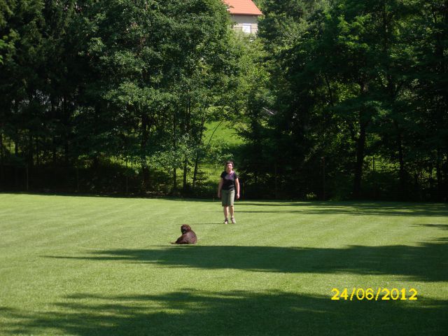 Izpiti šolanih psov, 24.06.2012 (galerija 2) - foto