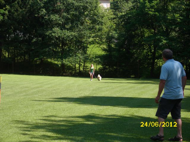 Izpiti šolanih psov, 24.06.2012 (galerija 2) - foto