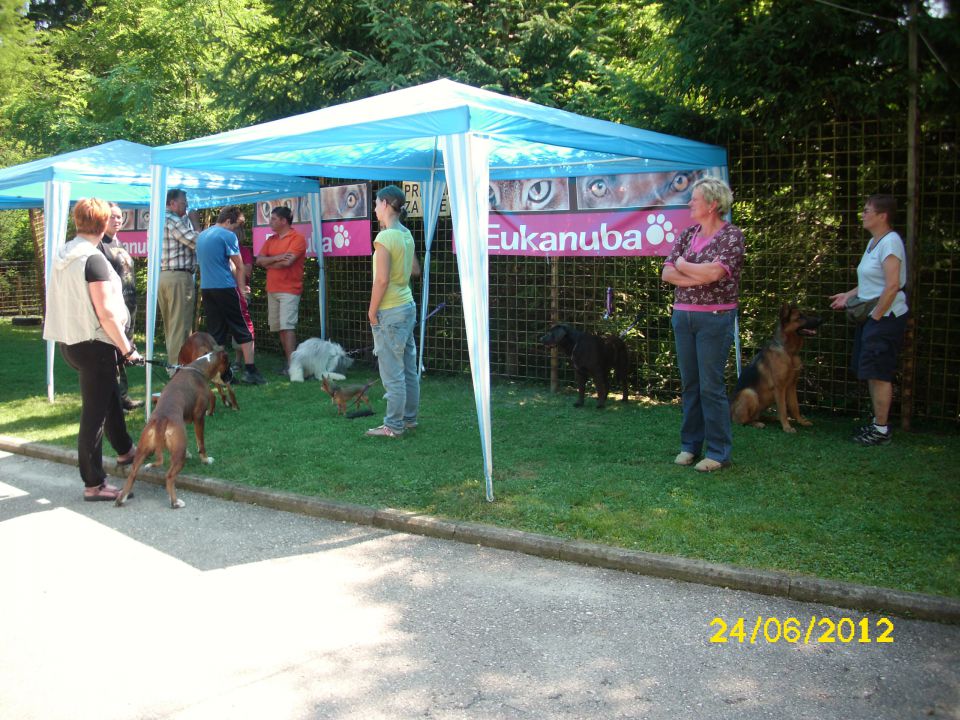 Izpiti šolanih psov, 24.06.2012 (galerija 2) - foto povečava