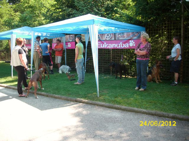 Izpiti šolanih psov, 24.06.2012 (galerija 2) - foto