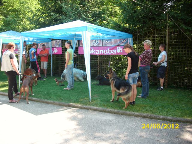 Izpiti šolanih psov, 24.06.2012 (galerija 2) - foto
