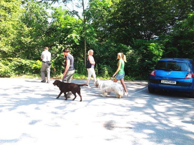 Izpiti šolanih psov, 24.06.2012 (galerija 3) - foto