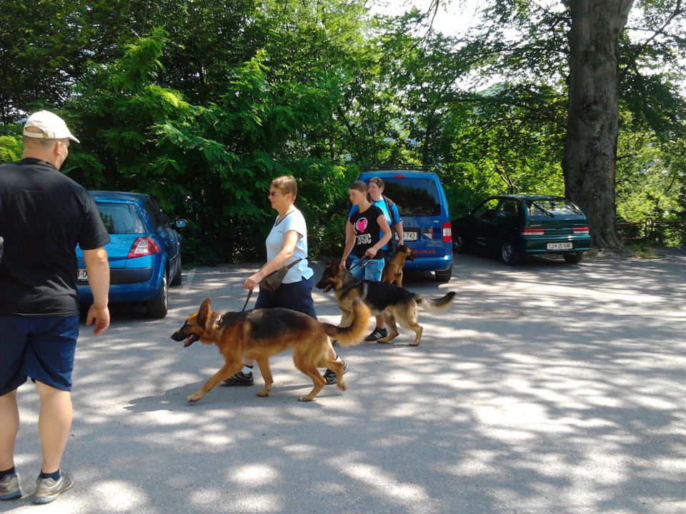 Izpiti šolanih psov, 24.06.2012 (galerija 3) - foto povečava