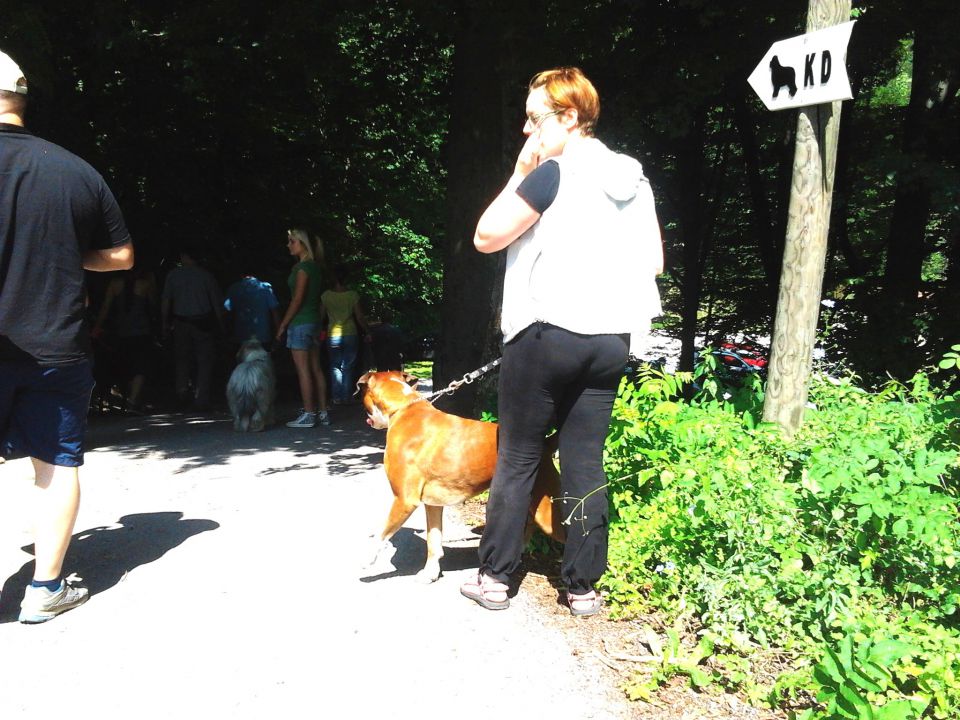 Izpiti šolanih psov, 24.06.2012 (galerija 3) - foto povečava