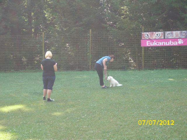 Mala šola, 07.07.2012 zaključek - foto