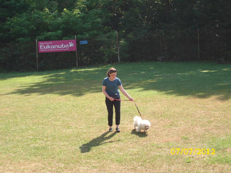 Mala šola, 07.07.2012 zaključek - foto povečava