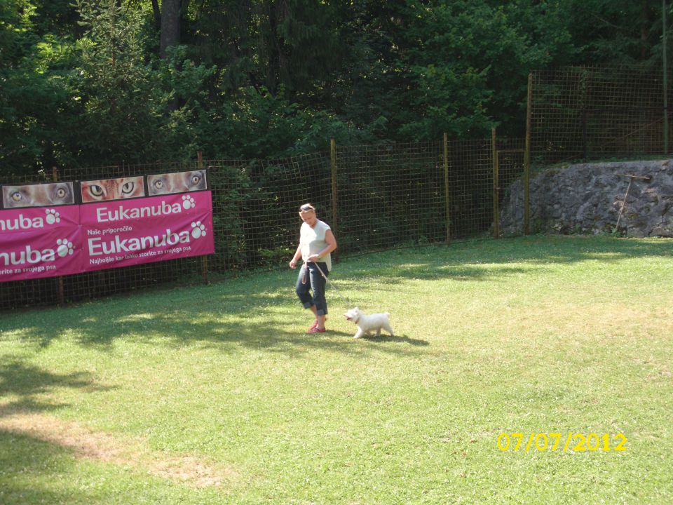 Mala šola, 07.07.2012 zaključek - foto povečava