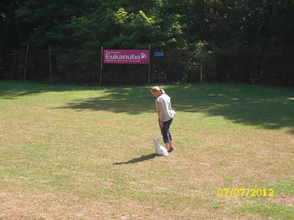 Mala šola, 07.07.2012 zaključek - foto povečava