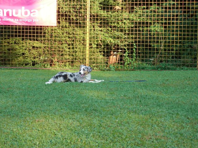 Mala šola, 14.08.2012 - foto