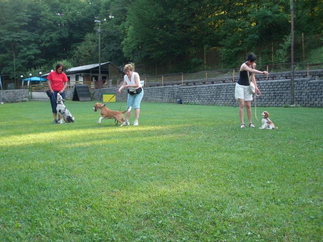 Mala šola, 14.08.2012 - foto