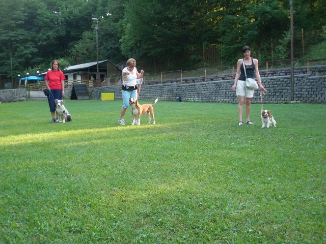 Mala šola, 14.08.2012 - foto