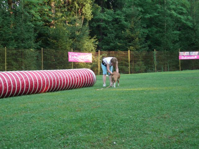 Mala šola, 14.08.2012 - foto