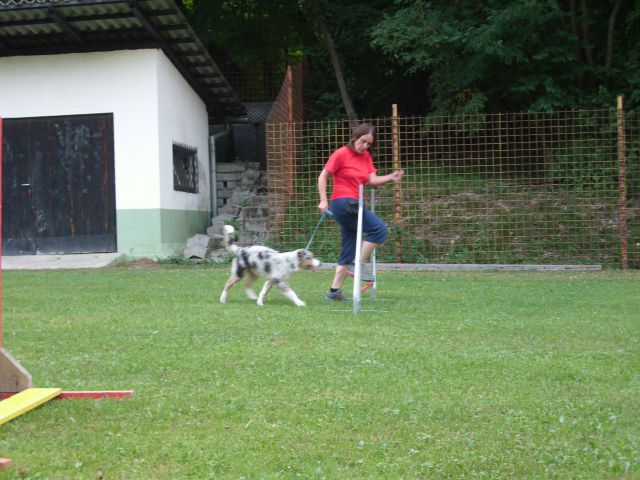 Mala šola, 14.08.2012 - foto