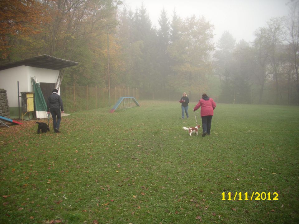 Mala šola, 11.11.2012 - foto povečava