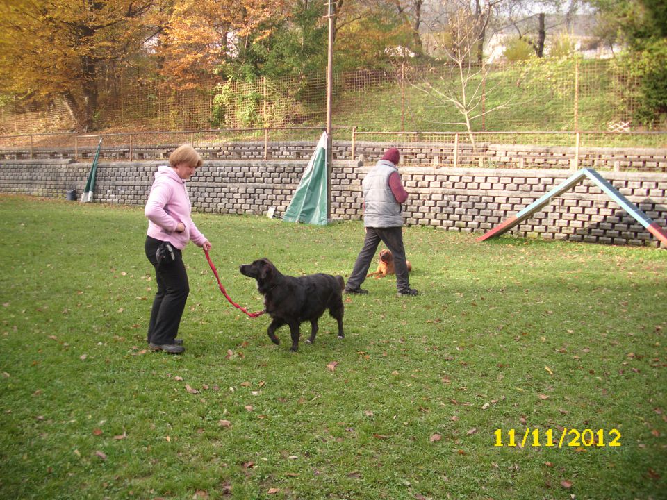 Mala šola, 11.11.2012 - foto povečava