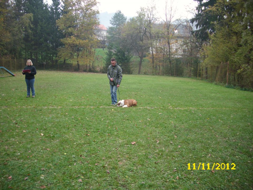 Mala šola, 11.11.2012 - foto povečava