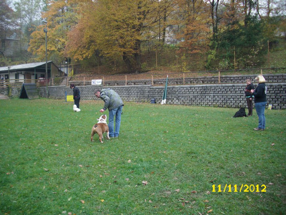 Mala šola, 11.11.2012 - foto povečava