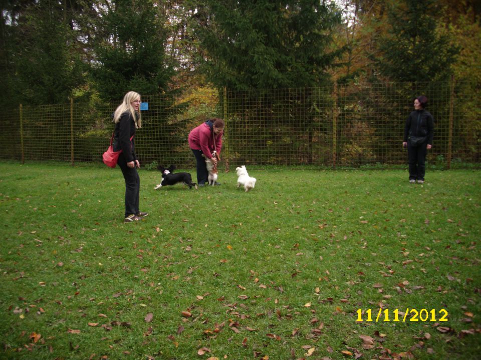 Mala šola, 11.11.2012 - foto povečava