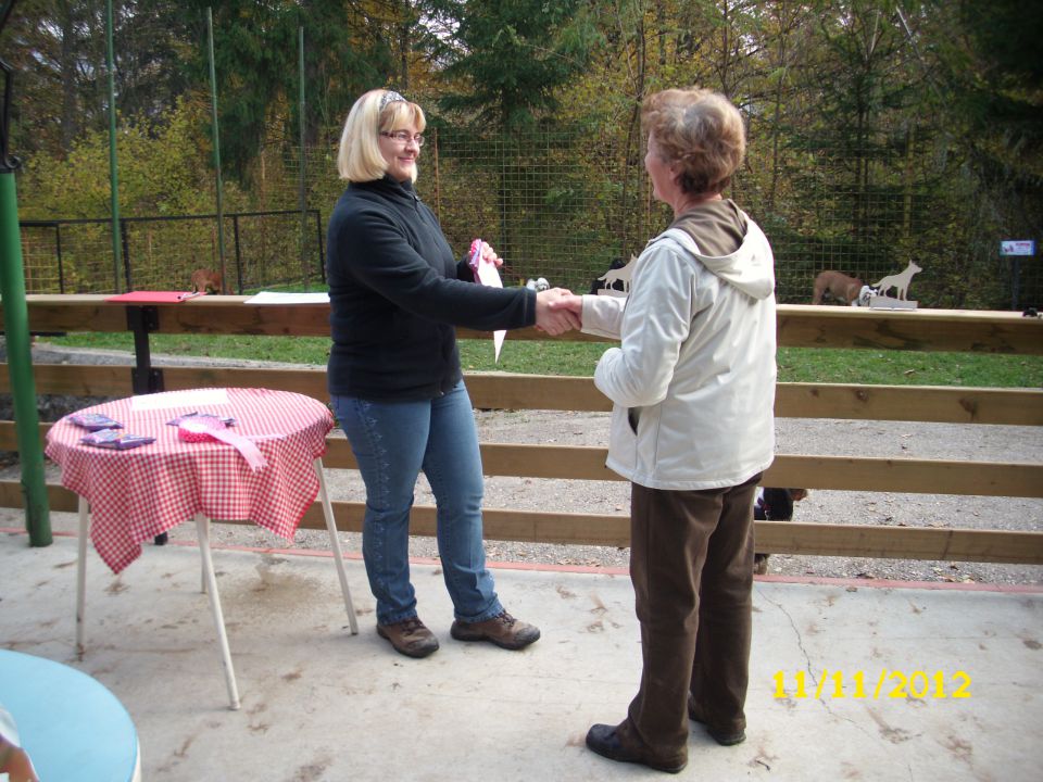 Mala šola, 11.11.2012 - foto povečava