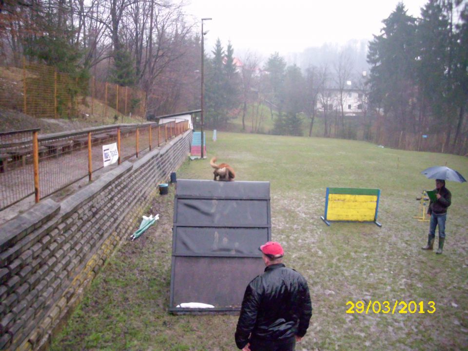 Izpiti šolanih psov, 29.03.2013 - foto povečava