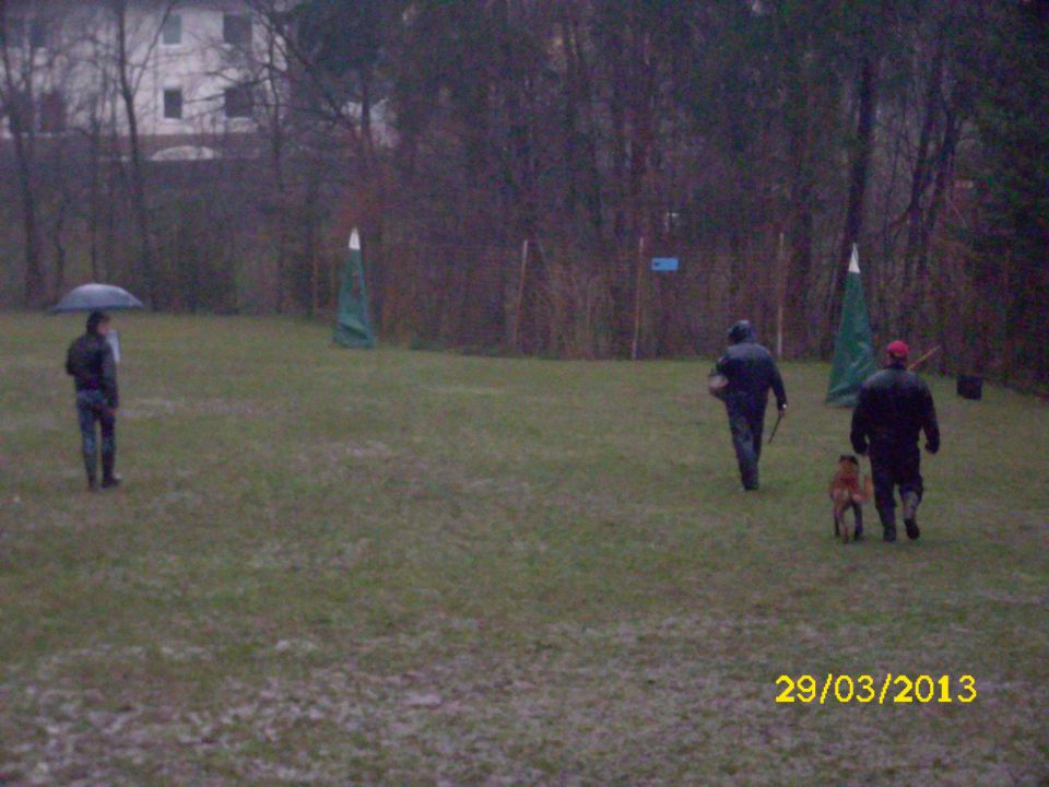 Izpiti šolanih psov, 29.03.2013 - foto povečava