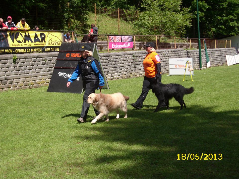 Turnir šolanih psov, 18.05.2013 (galerija 1) - foto povečava