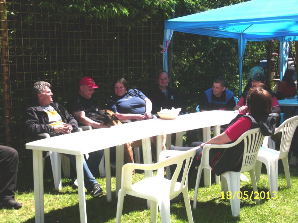 Turnir šolanih psov, 18.05.2013 (galerija 1) - foto povečava